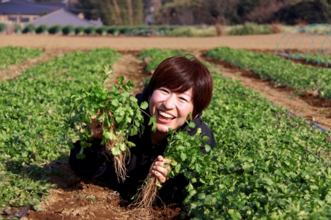 パクチーが日本に伝来したのは平安時代！？