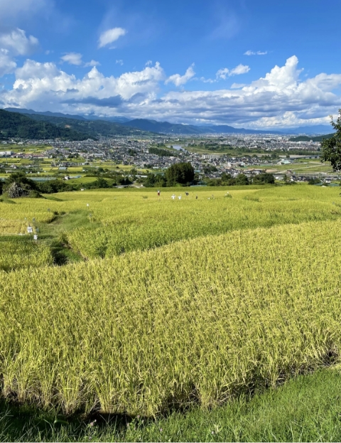 名月の里が生んだ由緒ある味噌