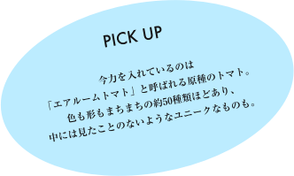 今力を入れているのは「エアルームトマト」と呼ばれる原種のトマト。色も形もまちまちの約50種類ほどあり、中には見たことのないようなユニークなものも。