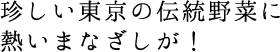 珍しい東京の伝統野菜に熱いまなざしが！