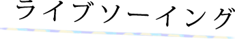 ライブソーイング